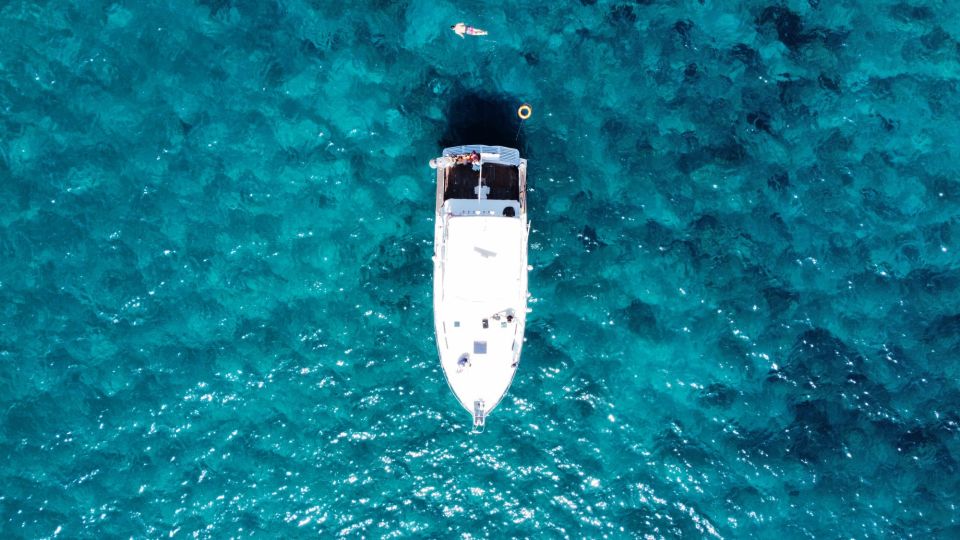 Las Galletas: Whale & Dolphin Tour with Local Skipper - Who should book this whale and dolphin cruise