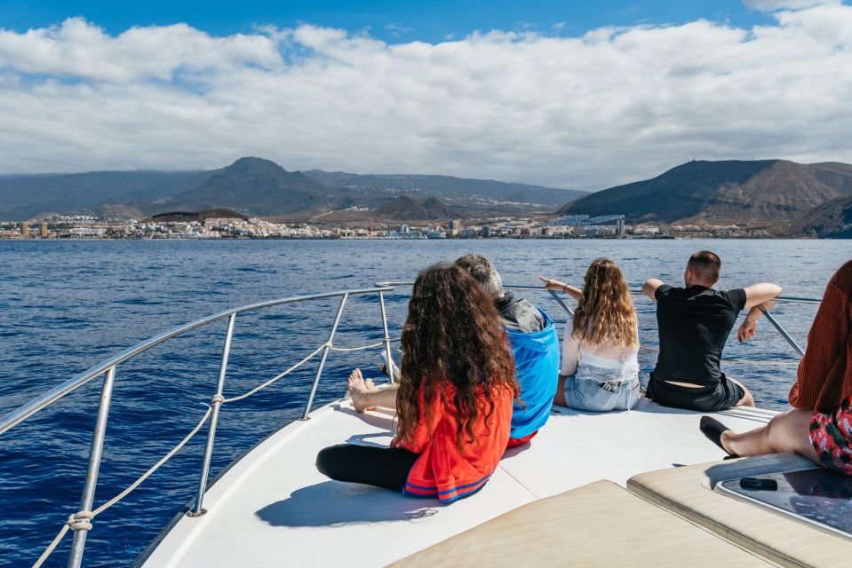 Las Galletas: Whale & Dolphin Tour with Local Skipper - Practical tips so your day feels smooth