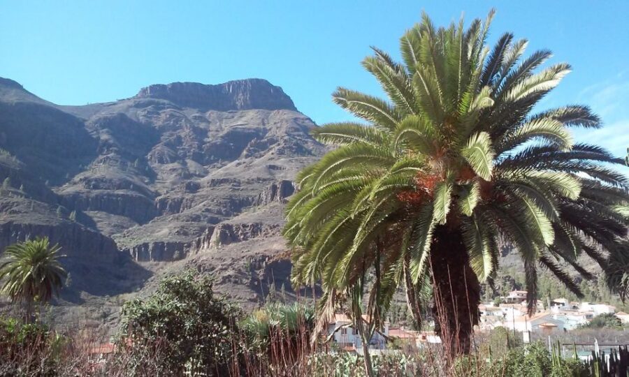 Las Palmas: 8-Hour Gran Canaria Island Highlights Tour - Santa Brígida: Historical Streets and a Slower Village Rhythm