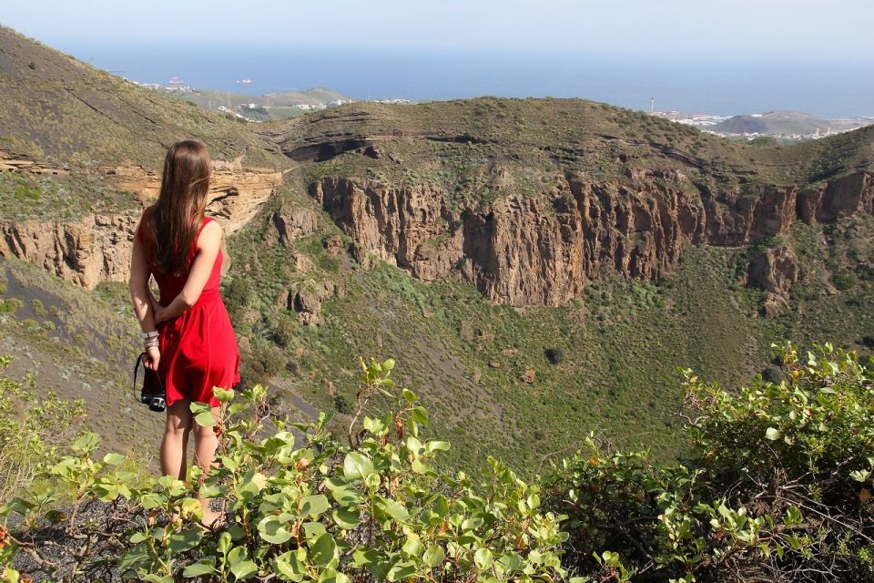 Las Palmas, Botanical Gardens and Bandama Volcano Tour - Group size and guide quality: why the story matters