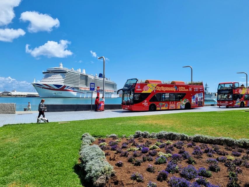Las Palmas: City Sightseeing Hop-On Hop-Off Bus Tour - Should you book the Las Palmas hop-on hop-off bus?