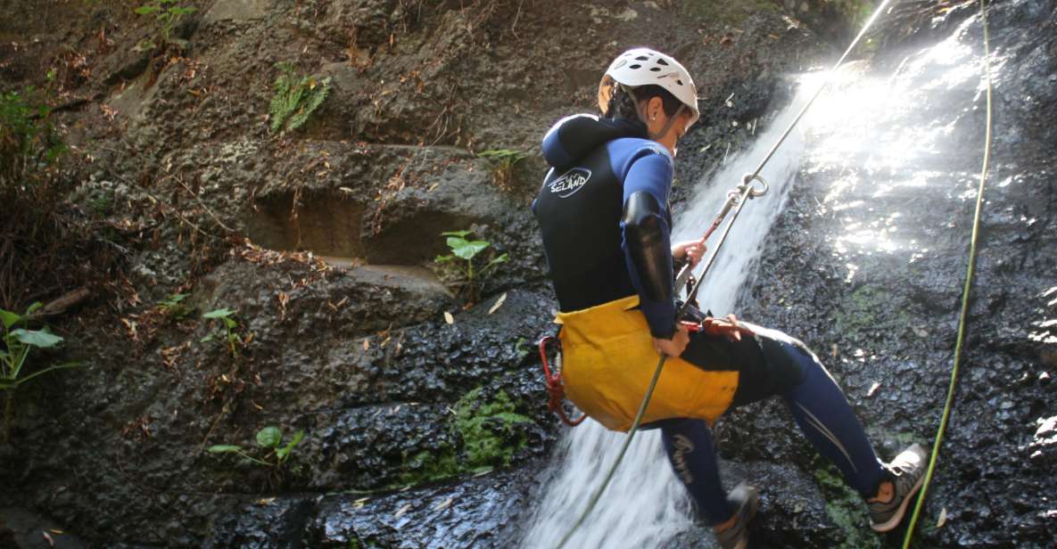 Las Palmas, Gran Canaria: Canyoning Adventure - Key Highlights That Make This Canyoning Worth Your Time