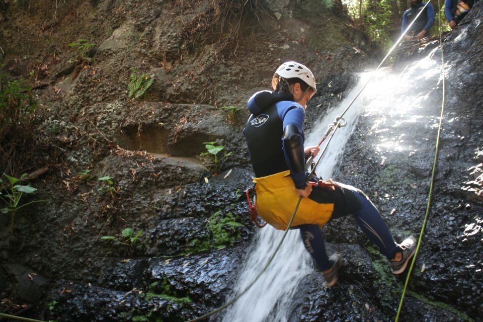 Las Palmas, Gran Canaria: Canyoning Adventure - Pools, Jungle Footwork, and the Narrowest Section