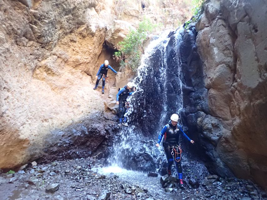 Las Palmas, Gran Canaria: Canyoning Adventure - What You Actually Get for $77: Value Over Flash
