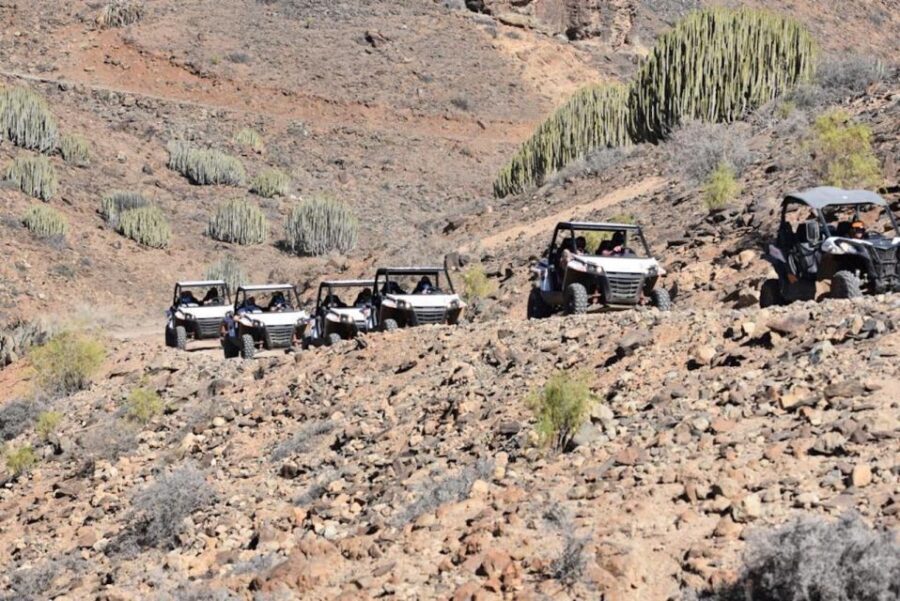 Las Palmas: Gran Canaria Guided Buggy Tour - Quick hits you’ll care about