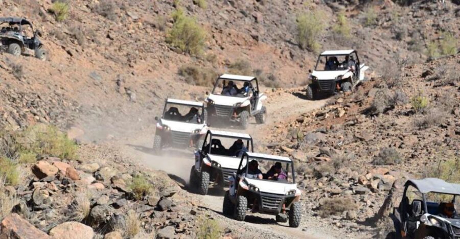 Las Palmas: Gran Canaria Guided Buggy Tour - Las Palmas to the Southern Hills: What This Buggy Ride Is Really Like
