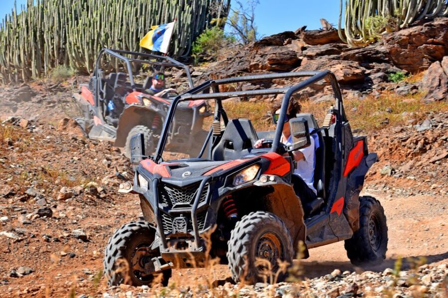 Las Palmas: Gran Canaria Guided Buggy Tour - Viewpoint Stops That Actually Break Up the Dust