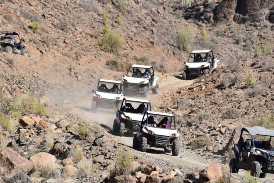 Las Palmas: Gran Canaria Guided Buggy Tour - Picking the Right Role: Driver vs Passenger Rules
