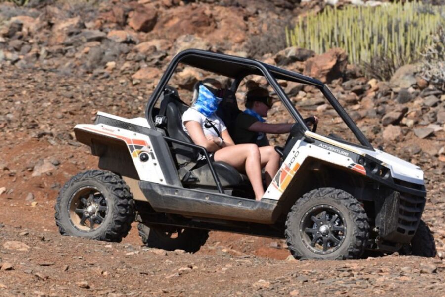 Las Palmas: Gran Canaria Guided Buggy Tour - Who This Buggy Tour Fits Best (and Who Might Prefer Something Else)