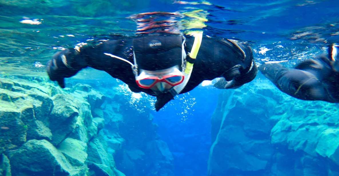 Las Palmas: Las Canteras Beach Snorkeling Trip - Why Las Canteras snorkeling feels so doable