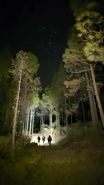 Las Palmas: Sunset & Night Sky Guided Astronomy Hiking Tour - Forest-to-sky transition: why the hike matters for beginners