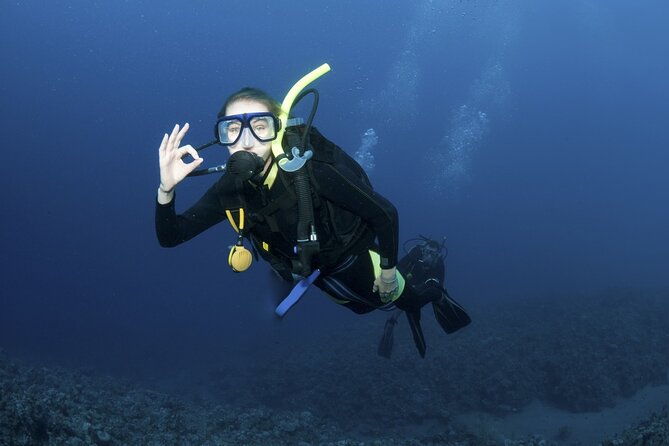 Lets Go Diving with pickup from hotel - Key Highlights Worth Noting