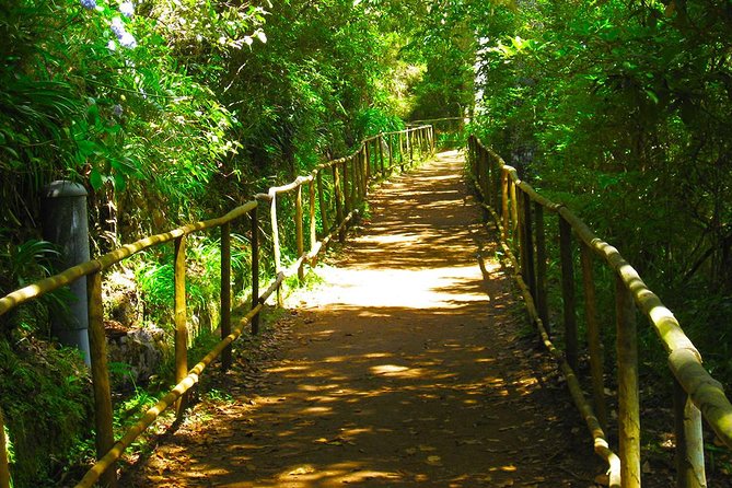 Levada do Caldeirão Verde Levada Walk from Funchal - Quick hits before you go