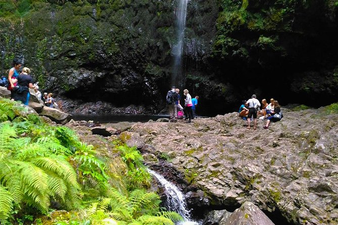 Levada do Caldeirão Verde Levada Walk from Funchal - What this Madeira levada walk is really like