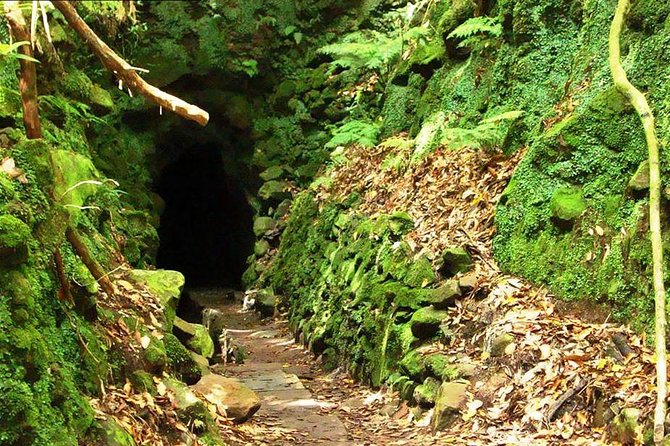 Levada do Caldeirão Verde Levada Walk from Funchal - The route begins near Queimadas and heads toward São Jorge views
