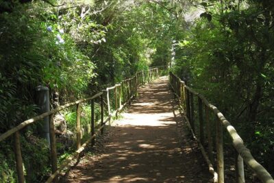 Levada do Caldeirão Verde Levada Walk from Funchal - Starting from Funchal: pickup changes the whole day