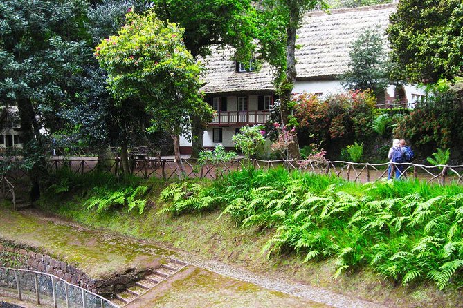 Levada do Caldeirão Verde Levada Walk from Funchal - Water everywhere: why this walk feels different from other hikes
