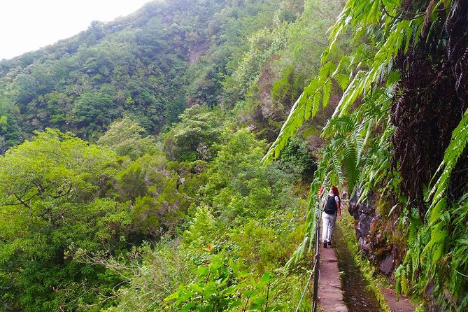 Levada do Caldeirão Verde Levada Walk from Funchal - Caldeirão Verde waterfall: the “big moment” stop