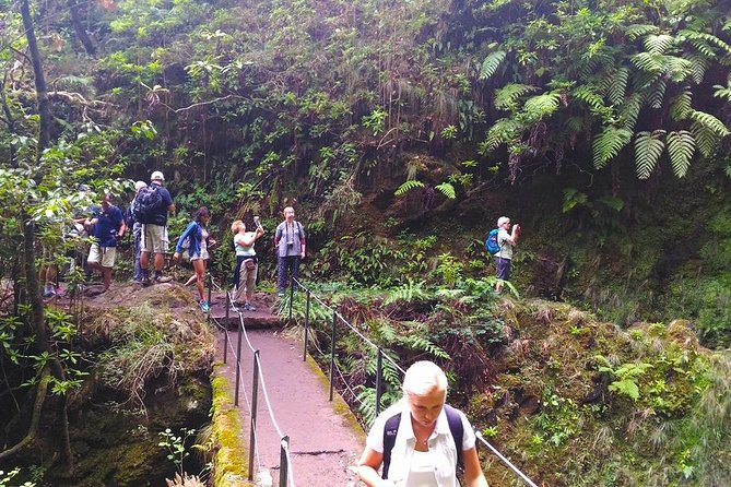 Levada do Caldeirão Verde Levada Walk from Funchal - Santana timing: quick supplies and a short look around