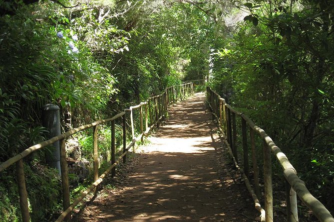 Levada do Caldeirão Verde Levada Walk from Funchal - Starting from Funchal: pickup changes the whole day