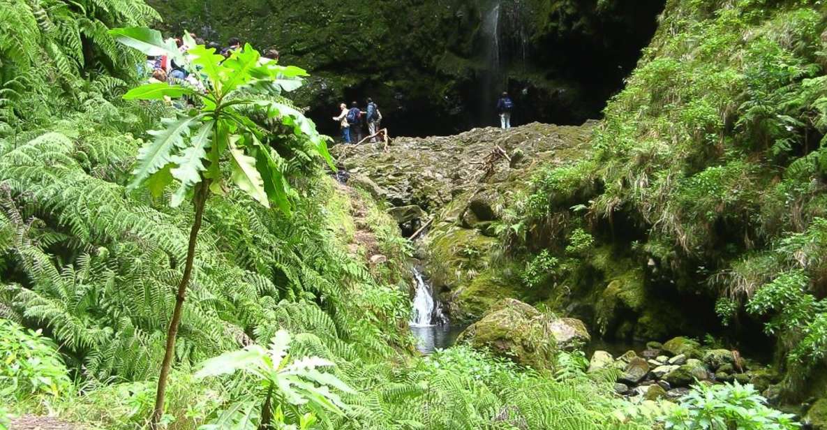 Levada Walk and Caldeirao Verde Waterfalls: Madeira - Key Highlights Worth Noting