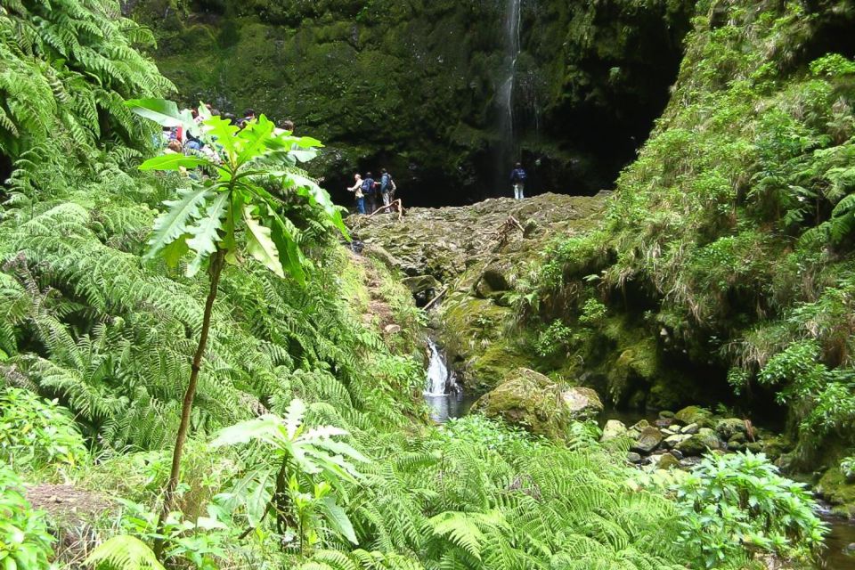 Levada Walk and Caldeirao Verde Waterfalls: Madeira - Madeira’s Levada Walk: Why This Experience Clicks
