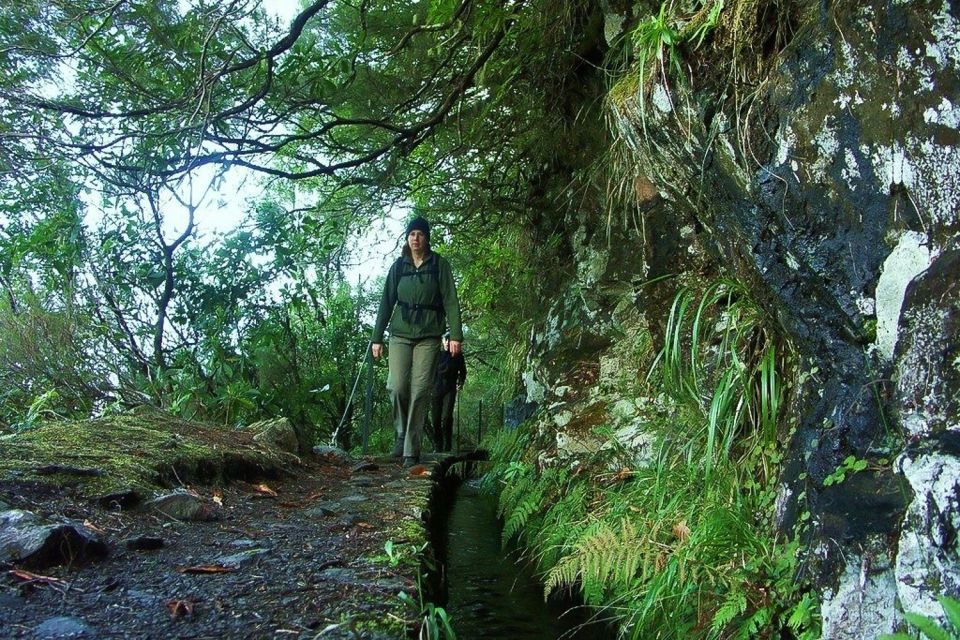 Levada Walk and Caldeirao Verde Waterfalls: Madeira - The 4.5-Hour Levada Trail: Forest Texture, Photo Stops, and Real Views