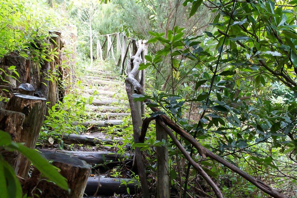 Levada Walk and Caldeirao Verde Waterfalls: Madeira - The Tour’s Pace: How Tough Is It, Really?
