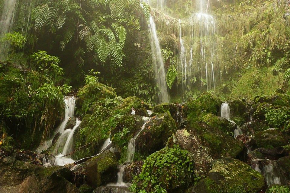 Levada Walk and Caldeirao Verde Waterfalls: Madeira - Getting From Funchal to Queimadas Forestall Park (and Why It Matters)