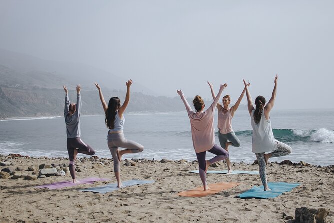 Lezioni di Surf per Beginner e Intermedi (6 persone a istruttore) - The safety advantage of max 6 people per instructor