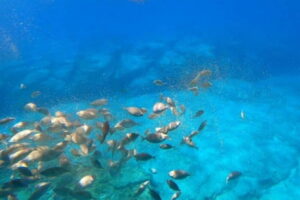 Lindos: Submarine Cruise with Swimming Stop at Navarone Bay - The upper-deck route: St. Paul’s Bay and Lindos Acropolis on your watch