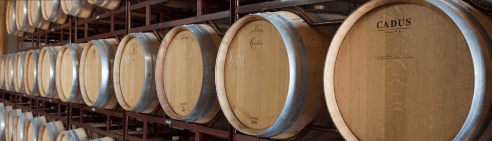 Llucmajor: Bodegas Bordoy Wine Tour - Key Highlights You Should Actually Care About