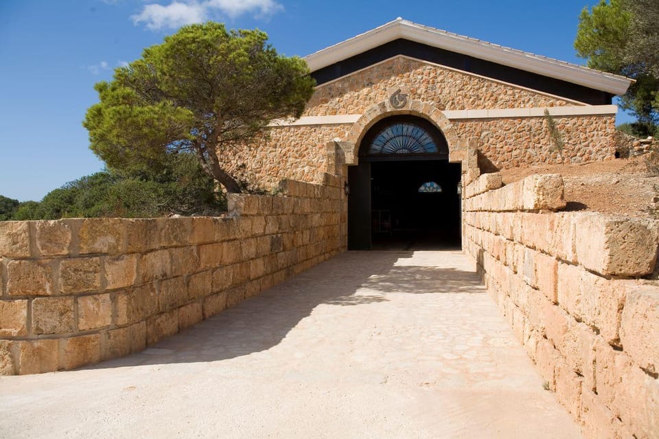 Llucmajor: Bodegas Bordoy Wine Tour - First Steps at Bodegas Bordoy in Llucmajor