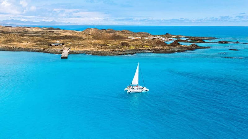 Lobos Island: 4-Hour Catamaran Trip with Lunch - Lobos Island by catamaran: what the 4-hour rhythm is really like