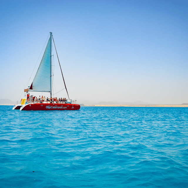 Lobos Island: 4-Hour Catamaran Trip with Lunch - The boat ride and submarine view: comfort plus a bit of wonder