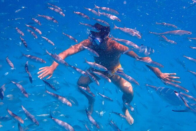 Lobos Island Ferry with Snorkel from Corralejo, Fuerteventura - Corralejo to Lobos: the quick crossing that sets the tone