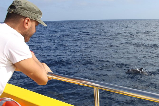 Lobos Island - The dolphin route - Lunch and drinks: good value, but check dietary needs