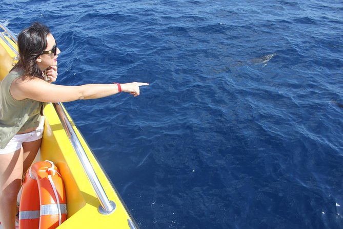 Lobos Island - The dolphin route - Price and value: is $86.50 worth it?
