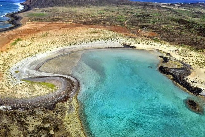 Lobos Island - The dolphin route - Quick practical tips to make your day smoother