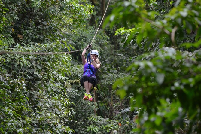 Los Cañones Canopy with Hotsprings Los Lagos - Wildlife stop after: butterfly/amphibian or crocodile farm?