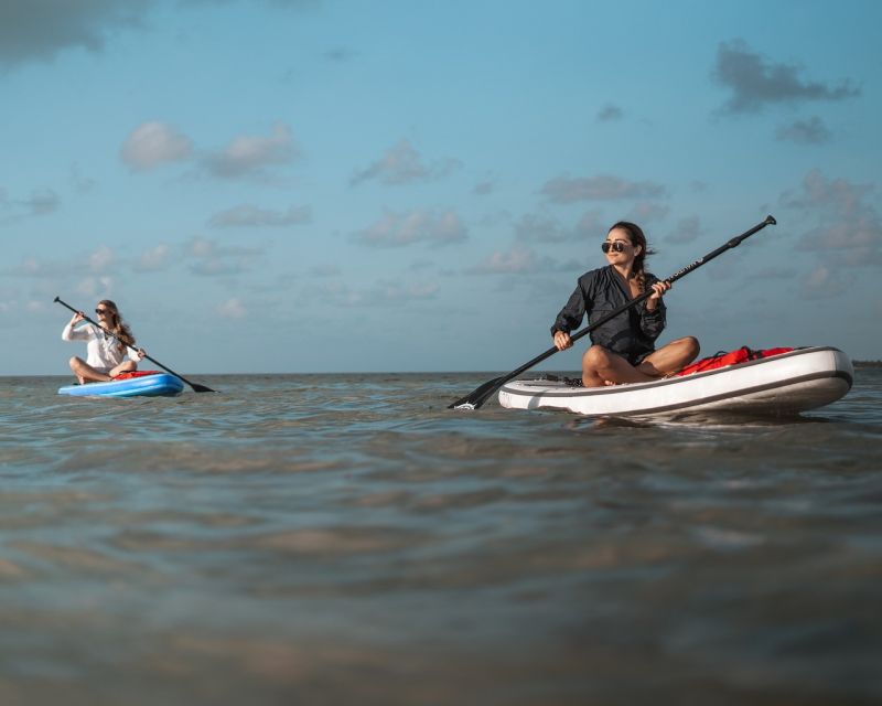 Los Cristianos : 1 Hour of Paddle surf Rental - How to get the most out of the Guaza cliffs area
