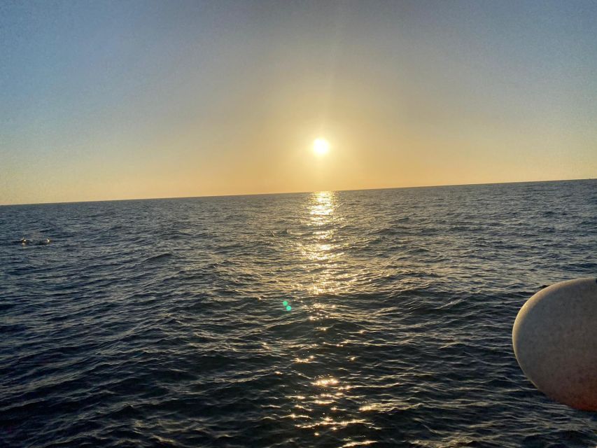 Los Cristianos: Eco Yacht Whale Watching Tour at Sunset - Should you book this Los Cristianos sunset yacht whale watching tour?