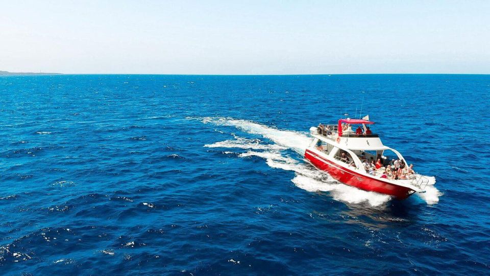 Los Cristianos: Eco Yacht Whale Watching Tour at Sunset - Ethical whale watching: the “no chase” part in real life