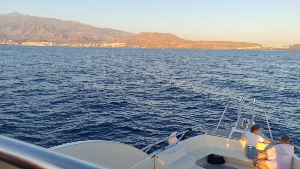 Los Cristianos: Eco Yacht Whale Watching Tour at Sunset - What the boat experience includes (and what you still need to plan)