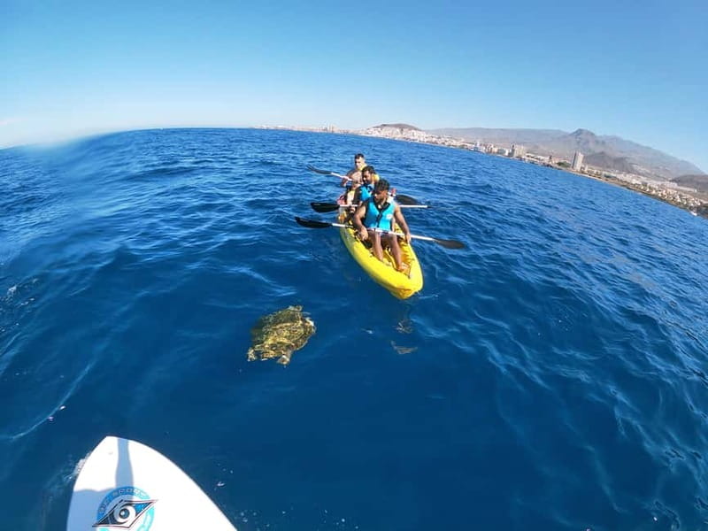 Los Cristianos: Kayak and Snorkel with Turtles and Photos - What to bring, and what can spoil your day