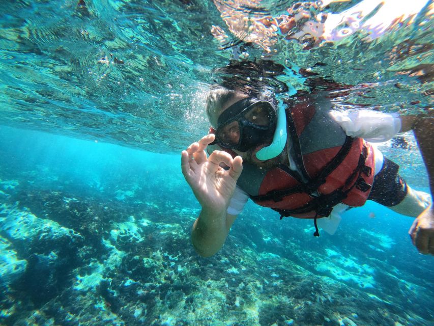 Los Cristianos: Kayaking and Snorkeling with Marine Wildlife - Who this tour suits best (and who might want to choose differently)
