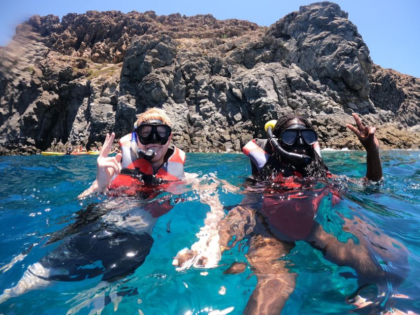 Los Cristianos: Kayaking and Snorkeling with Marine Wildlife - Should you book Los Cristianos kayaking and Palm-Mar snorkeling?