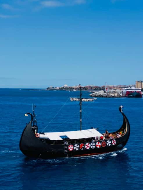 Los Cristianos: Viking Cruise Whales & Dolphins Watching - Tips that actually help during your 2 hours