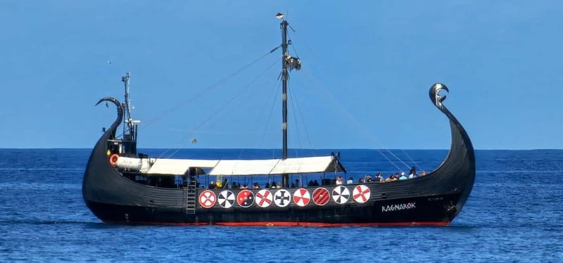 Los Cristianos: Whale Watching Cruise w/Swim Stop & Drinks - Drinks and Viking entertainment: why the tone stays fun