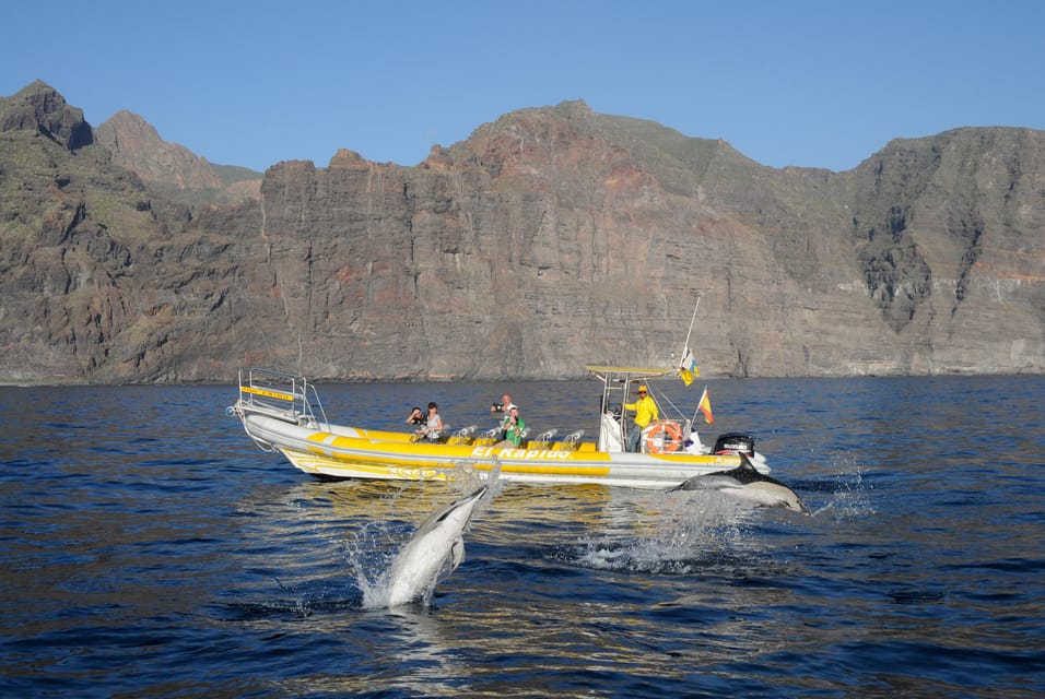 Los Gigantes: Dolphin and Whale Watching Cruise by Speedboat - Teno-Rasca Whale Sanctuary: how the wildlife search plays out